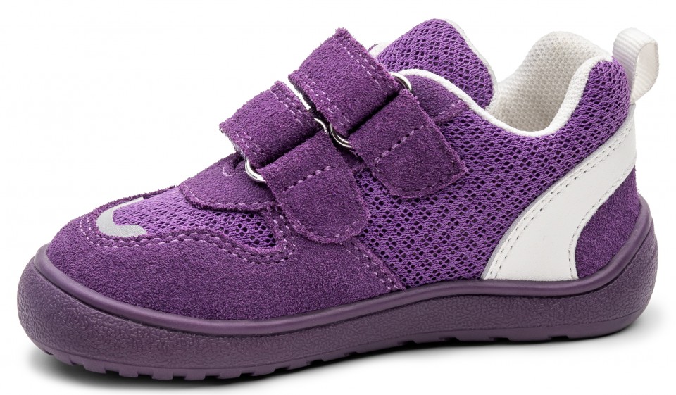 ALEX PURPLE velké_2