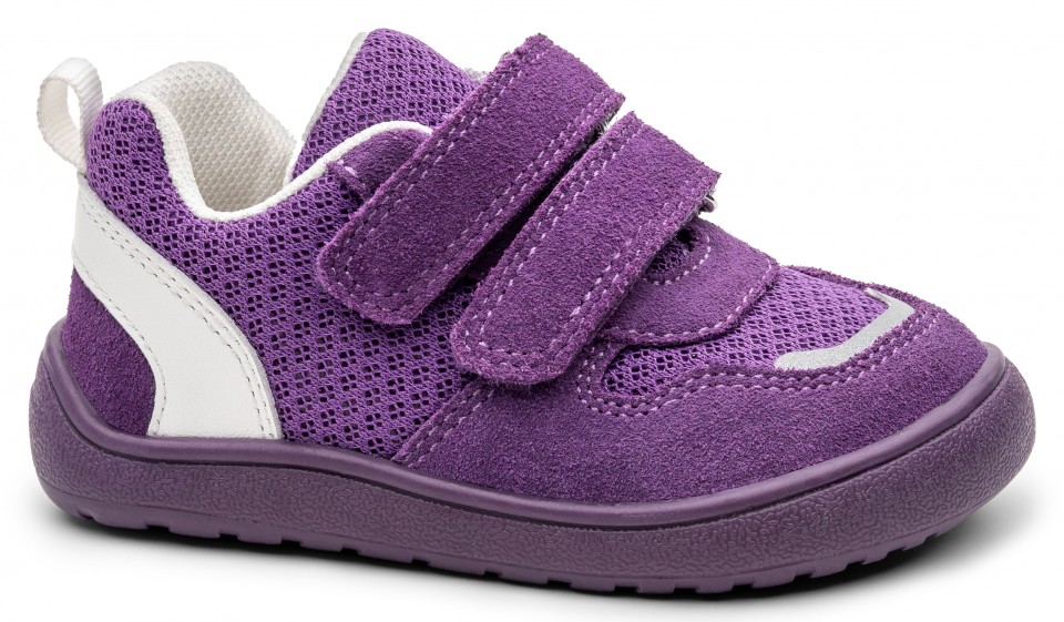 ALEX PURPLE velké_1